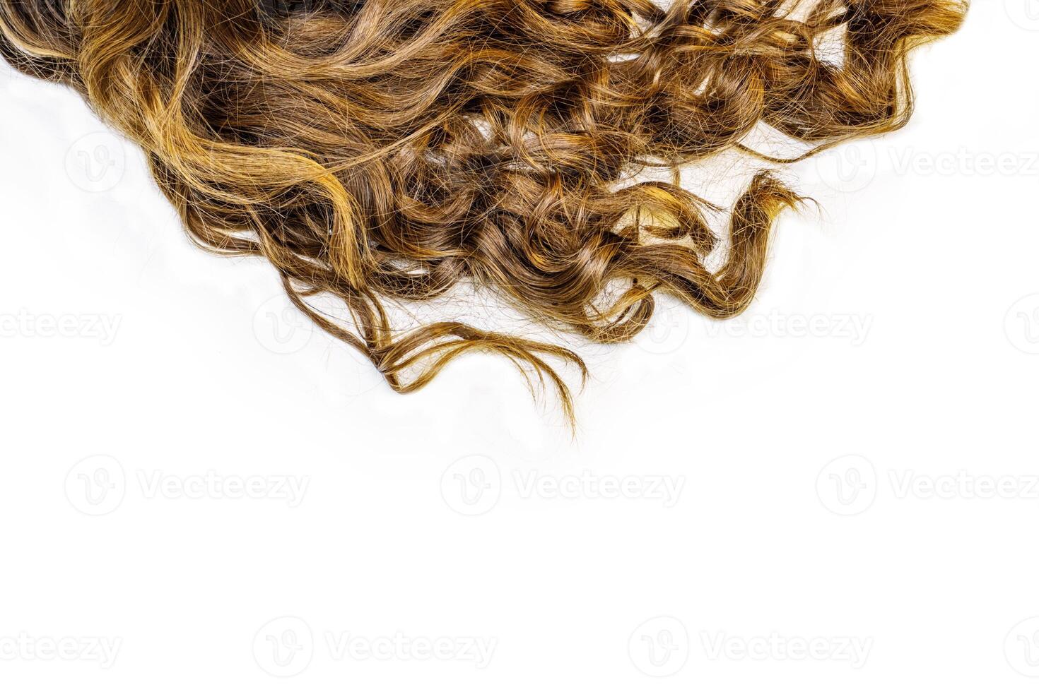 Healthy wavy female hair on white background. Piece of brown long hair on white isolated background. Top view. Copy Space. photo