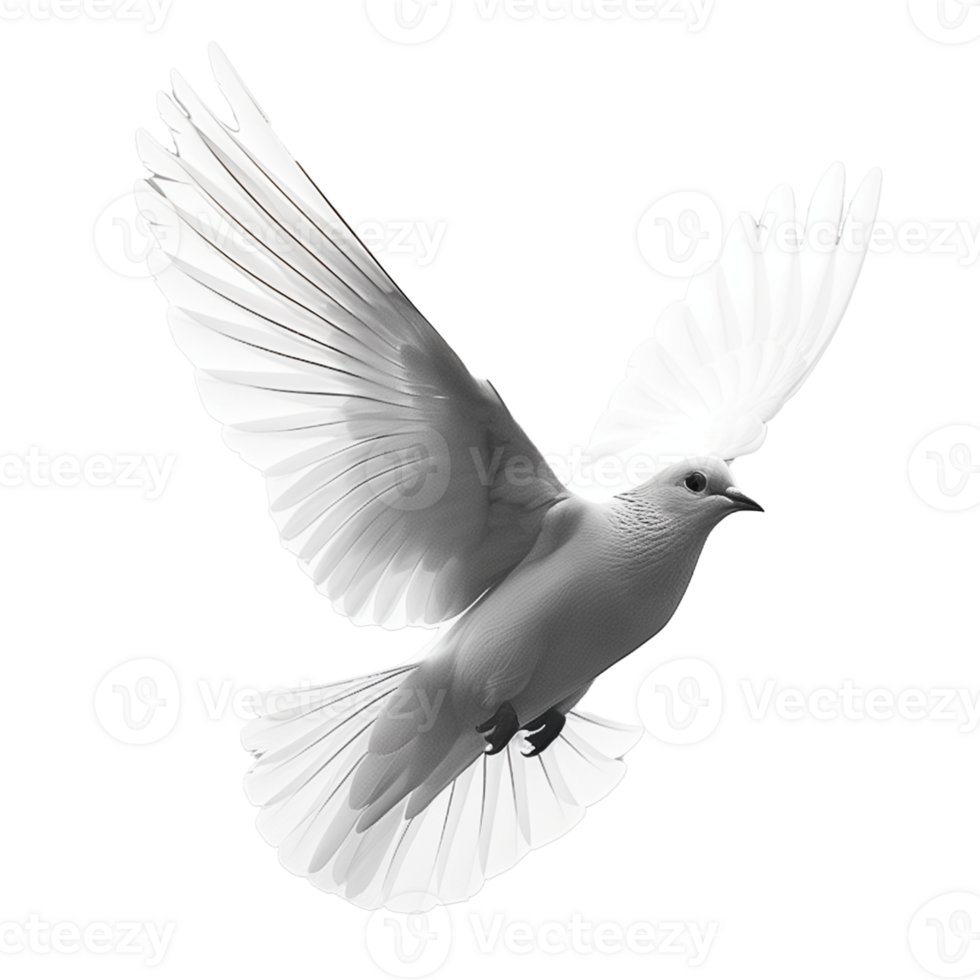 AI generated Graceful white dove flying with transparent background png