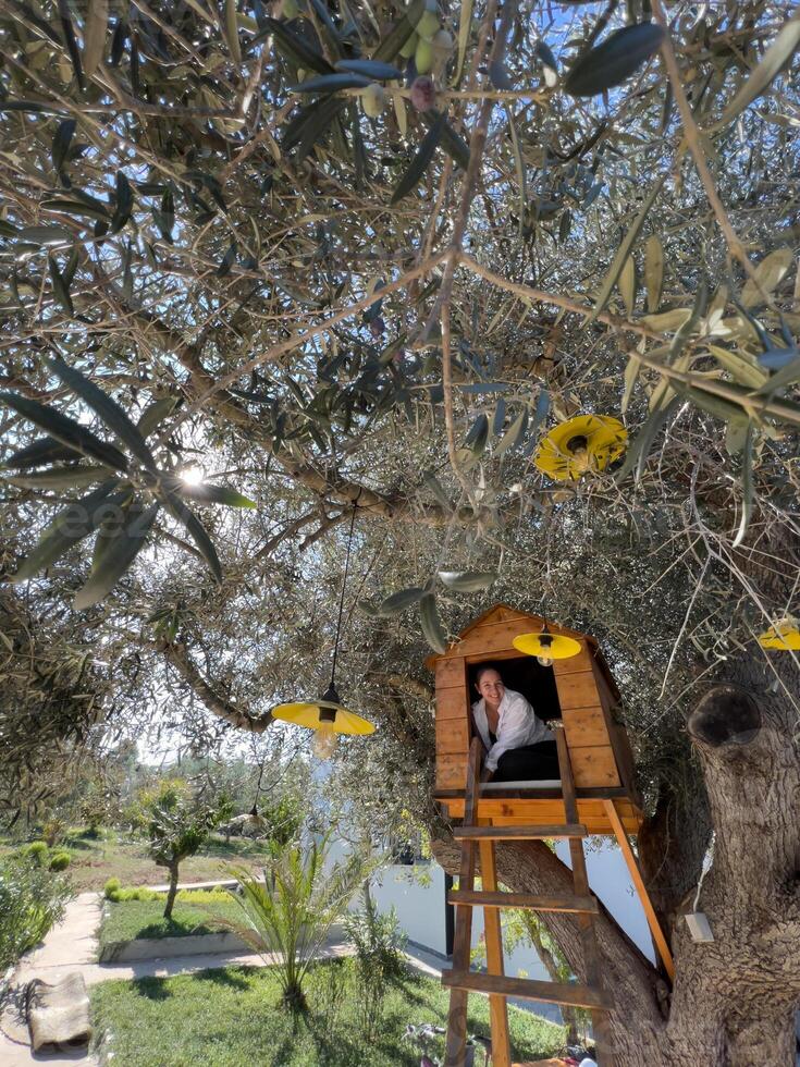 Smiling girl sitting in a wooden treehouse photo