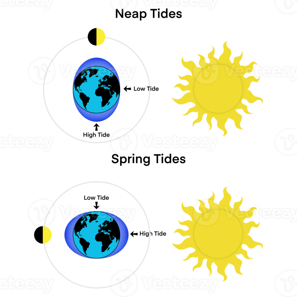 Tides, Moon, Sun and Earth, How sea tides are caused by the gravitational pull of the moon and the sun, Tidal phenomena, Gravitational forces between Earth, Moon, and Sun, Low tide and high tide png