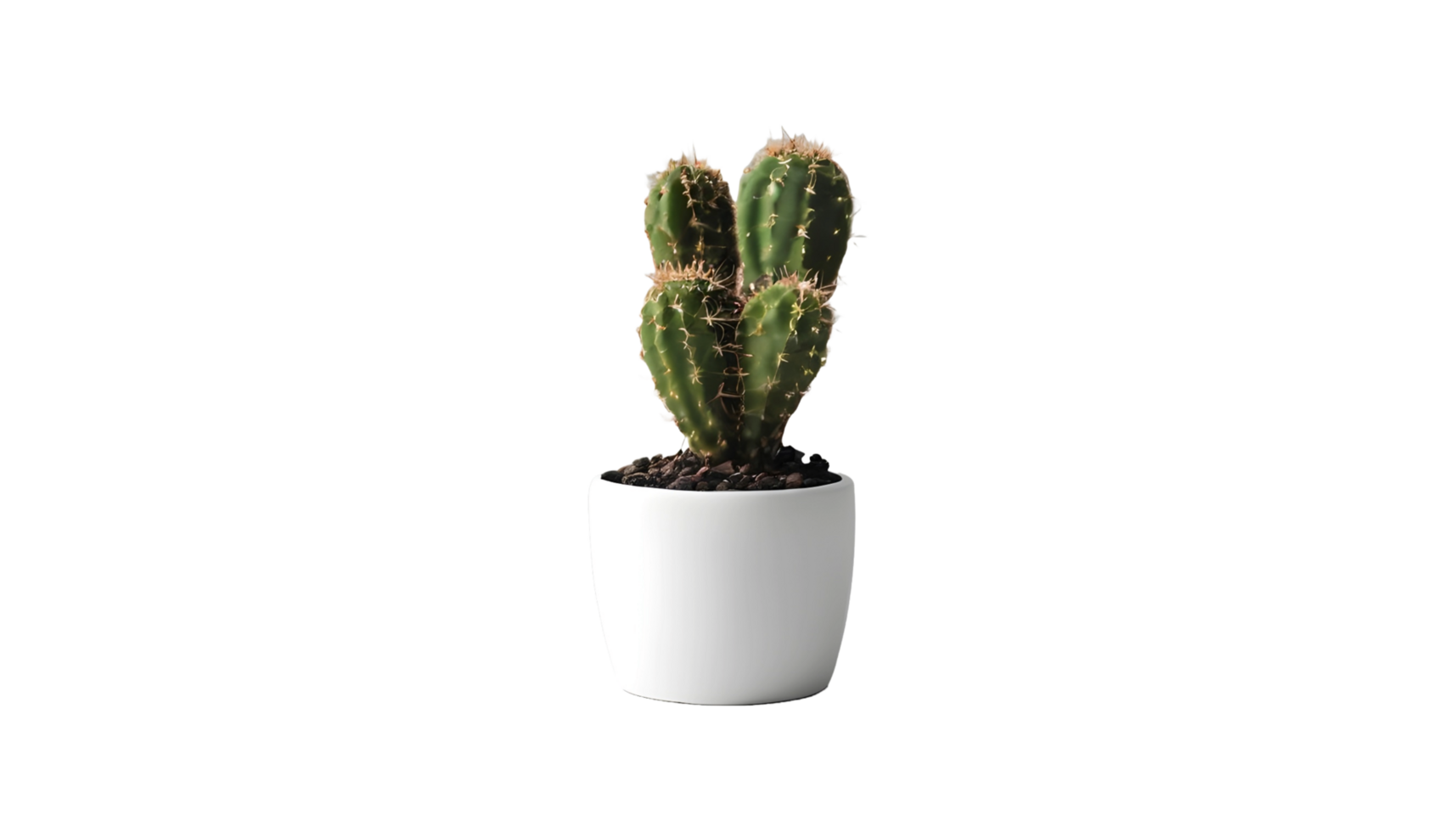 AI generated Cactus on pot isolated on transparent background. FREE PNG