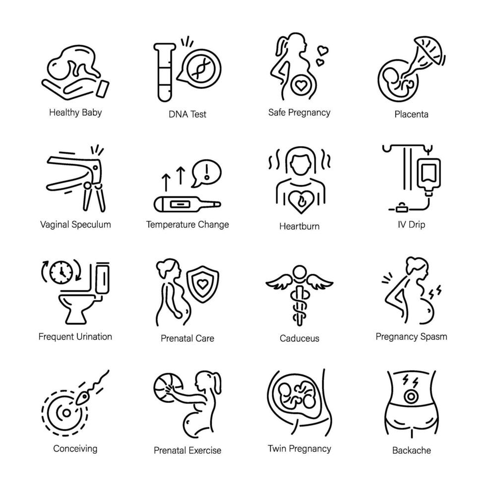 Trendy Collection of Gestation Linear Icons vector