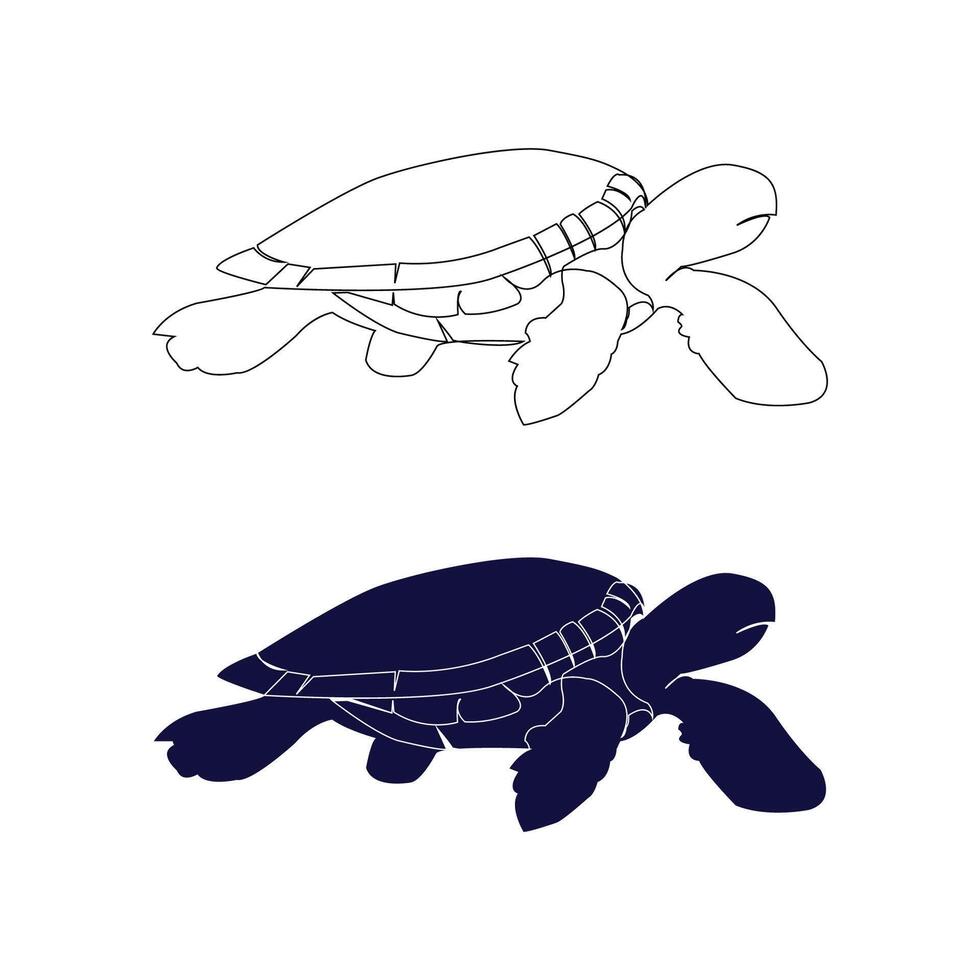 Vector illustration of sea turtle. Turtle outline black vector on white background