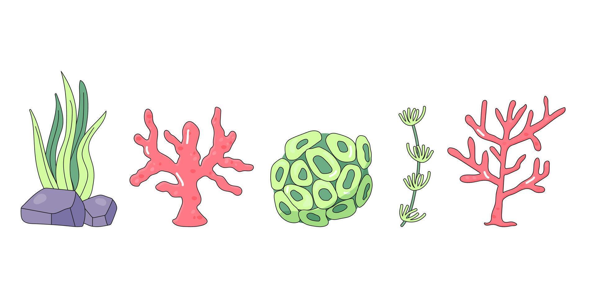 linda algas marinas, coral, conjunto en blanco antecedentes. submarino mundo. vector