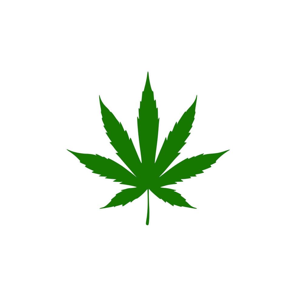 a cannabis leaf on a white surface. vector