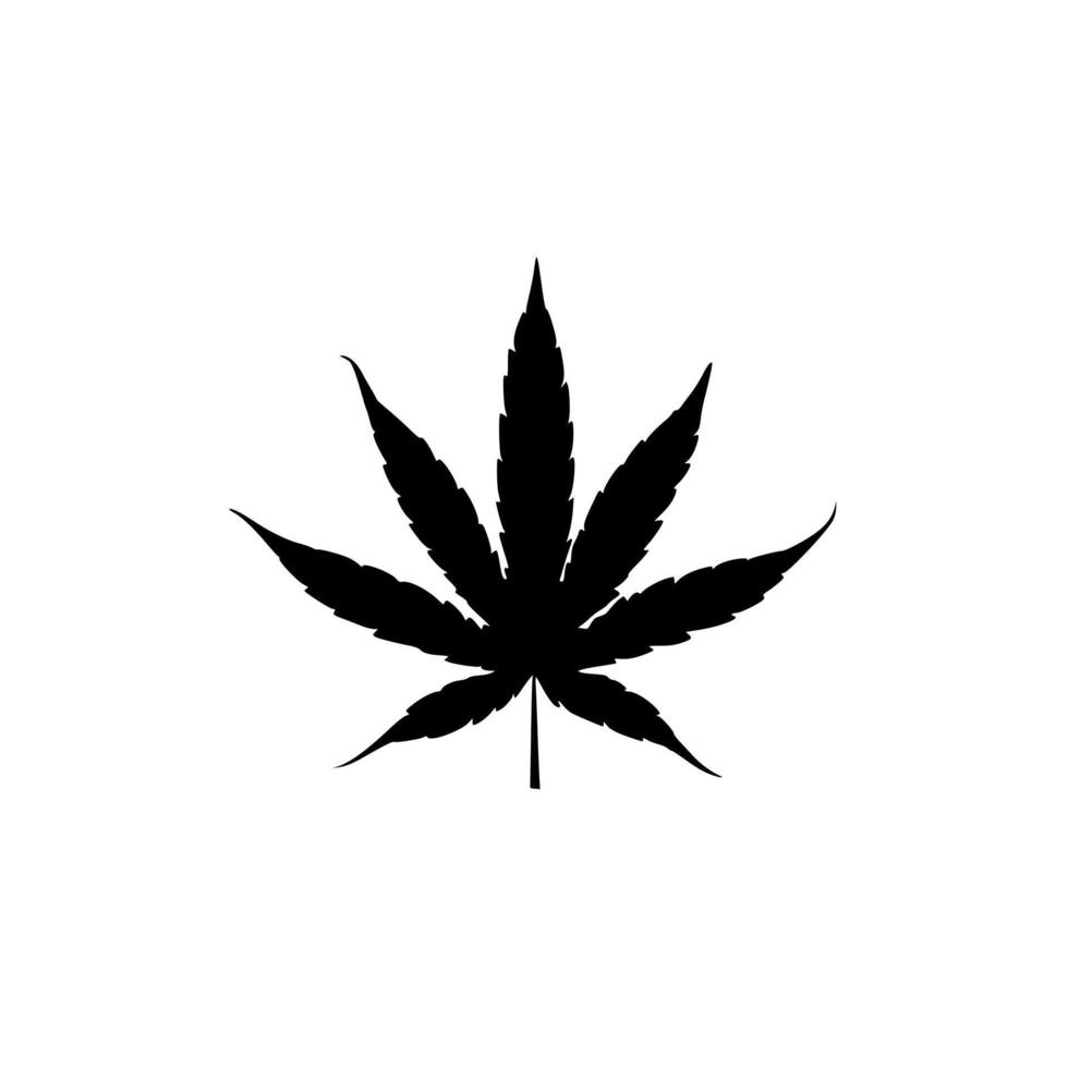 a cannabis leaf on a white surface. vector