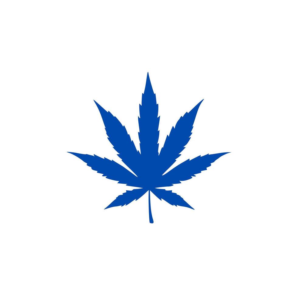 a cannabis leaf on a white surface. vector