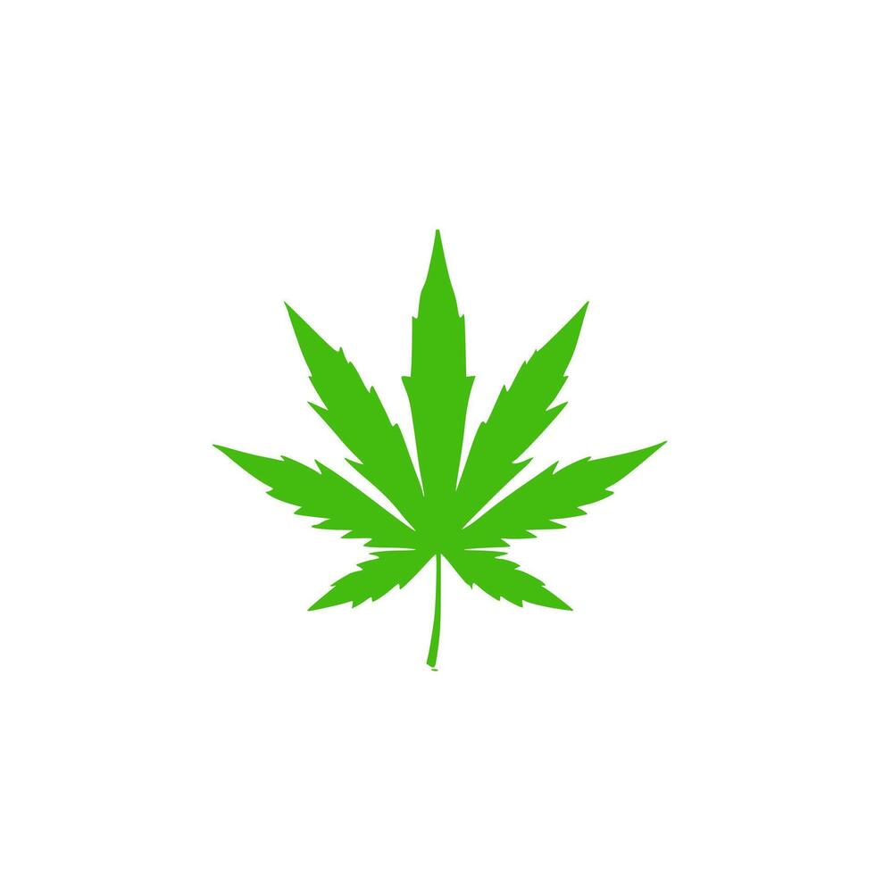 a cannabis leaf on a white surface. vector