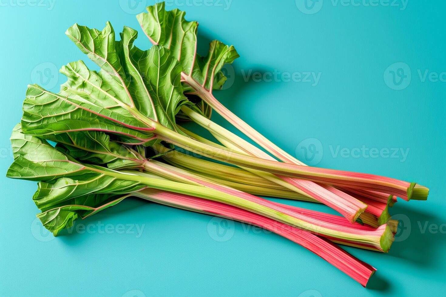 AI generated Freshly harvested rhubarb stalks, isolated on a gradient background, depicting the rhubarb cultivation process photo