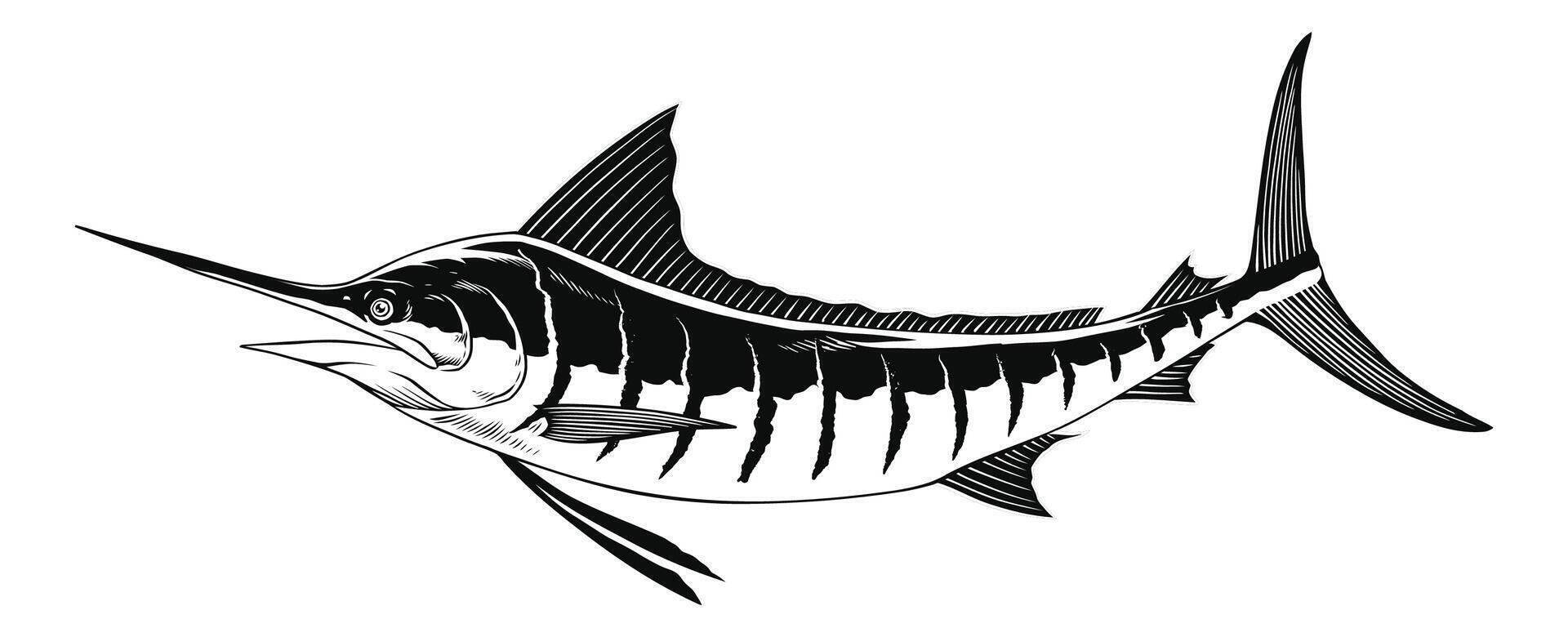 Marlin Fish VectorBlack and White Illustration vector