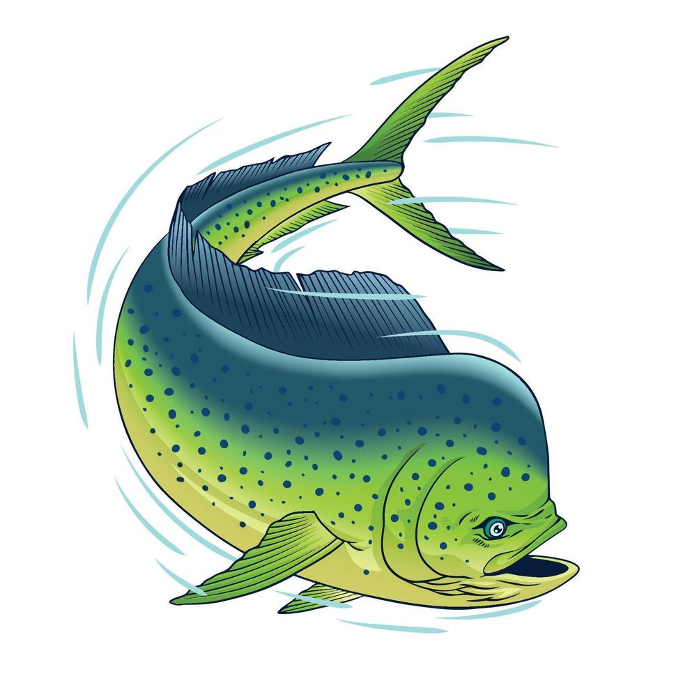 Dorado Fish in Fast Motion Hand Drawn Illustration vector