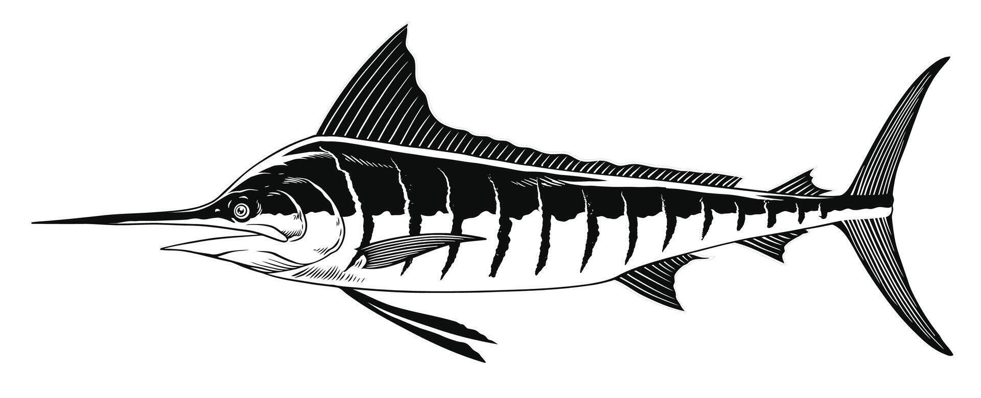 Marlin Fish Hand Drawn Illustration in Black and White 42409439 Vector