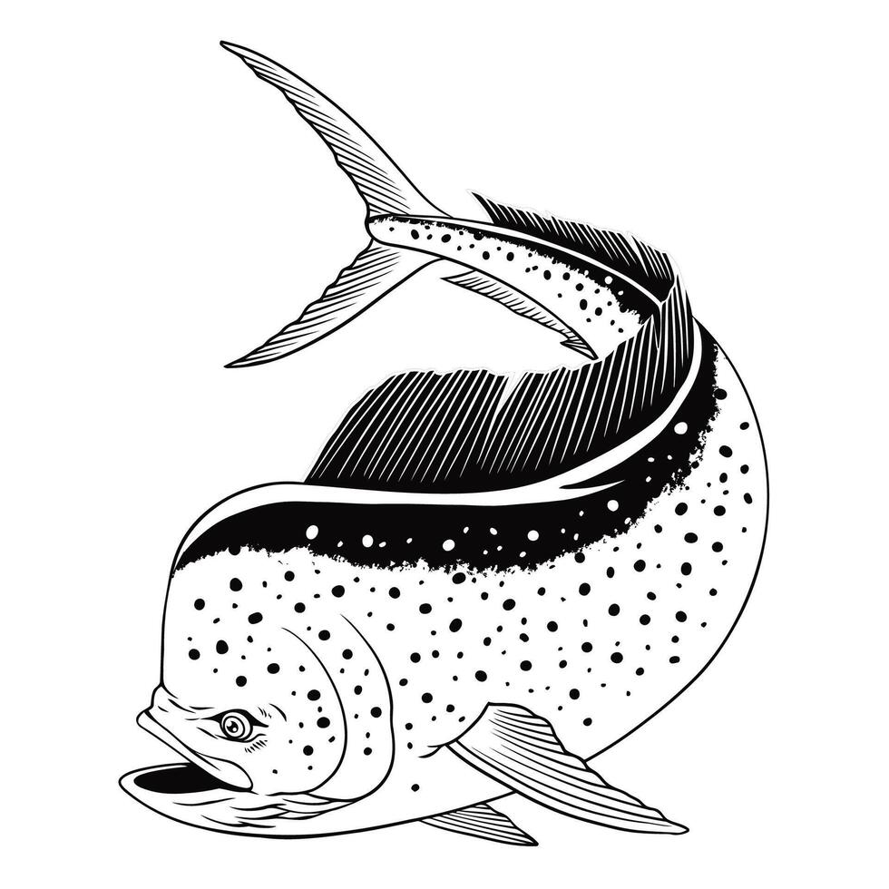 Dorado Fish Illustration in Black and White vector