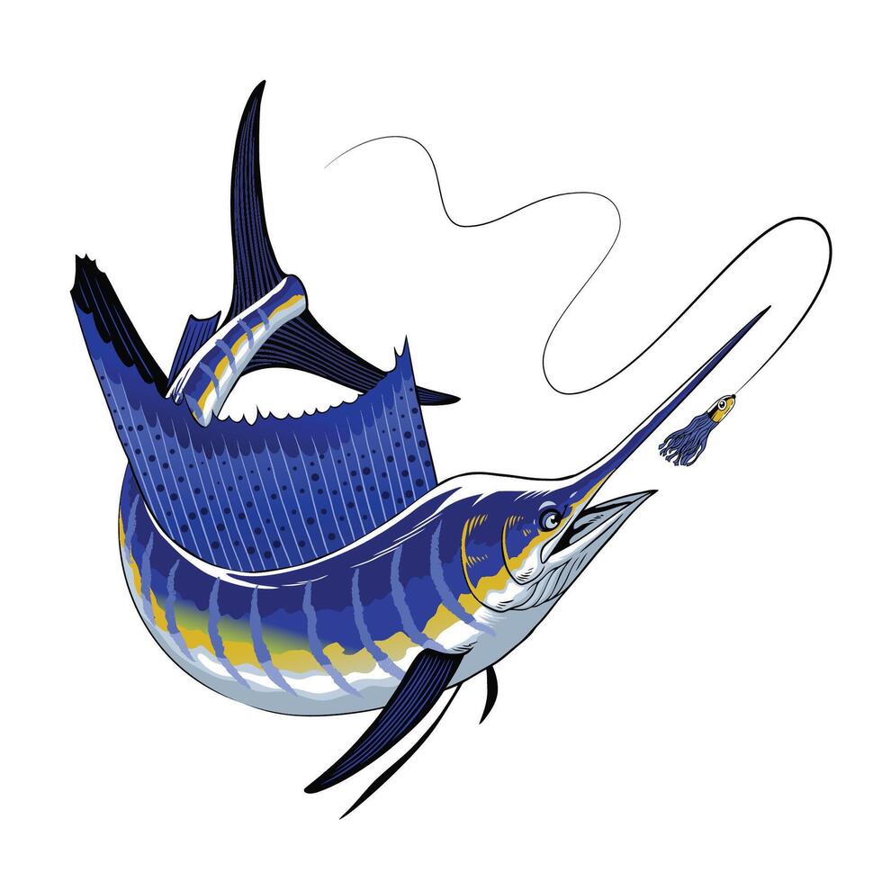 Atlantic Sailfish Chasing the Fishing Lure Illustration vector