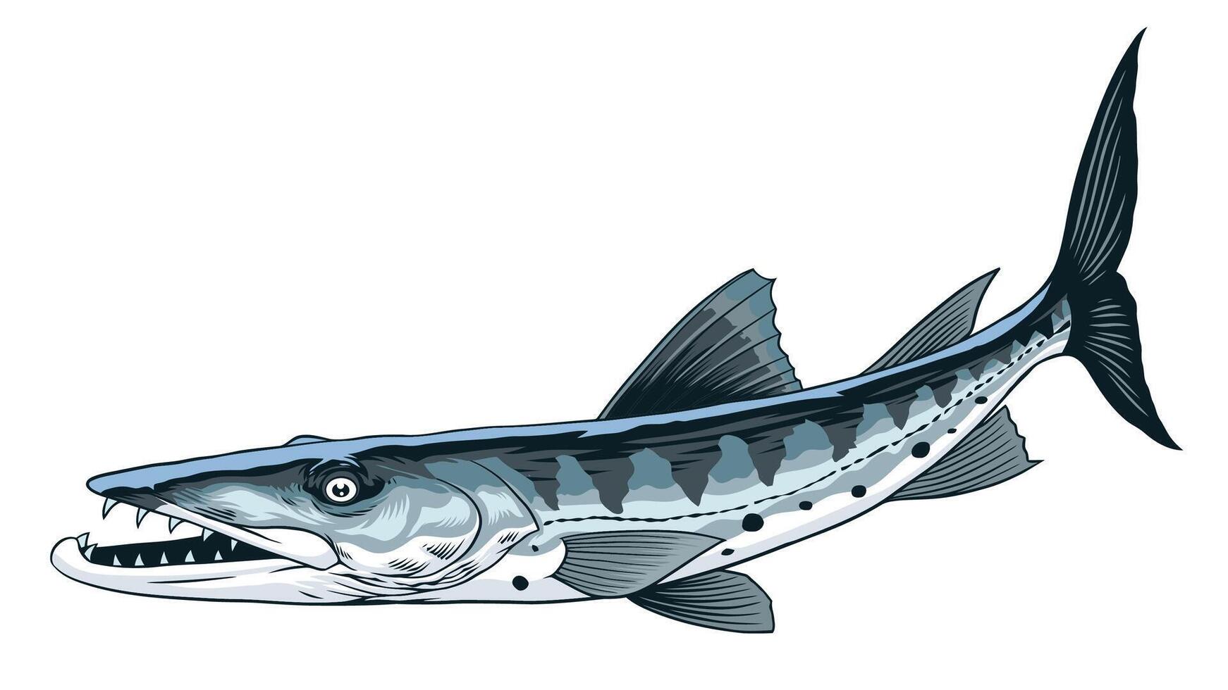 Barracuda Fish Hand Drawn Illustration in Vintage vector