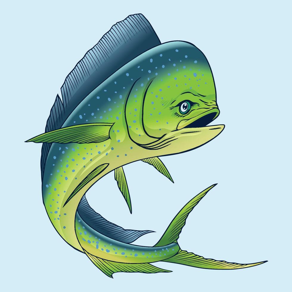 Mahi-Mahi or Dorado Fish Hand Drawn Realistic Illustration Isolated vector