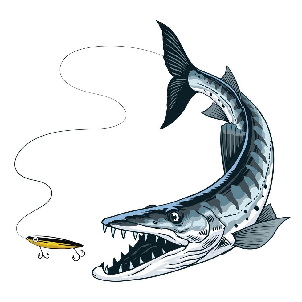 Barracuda fish catching the fishing lure vector
