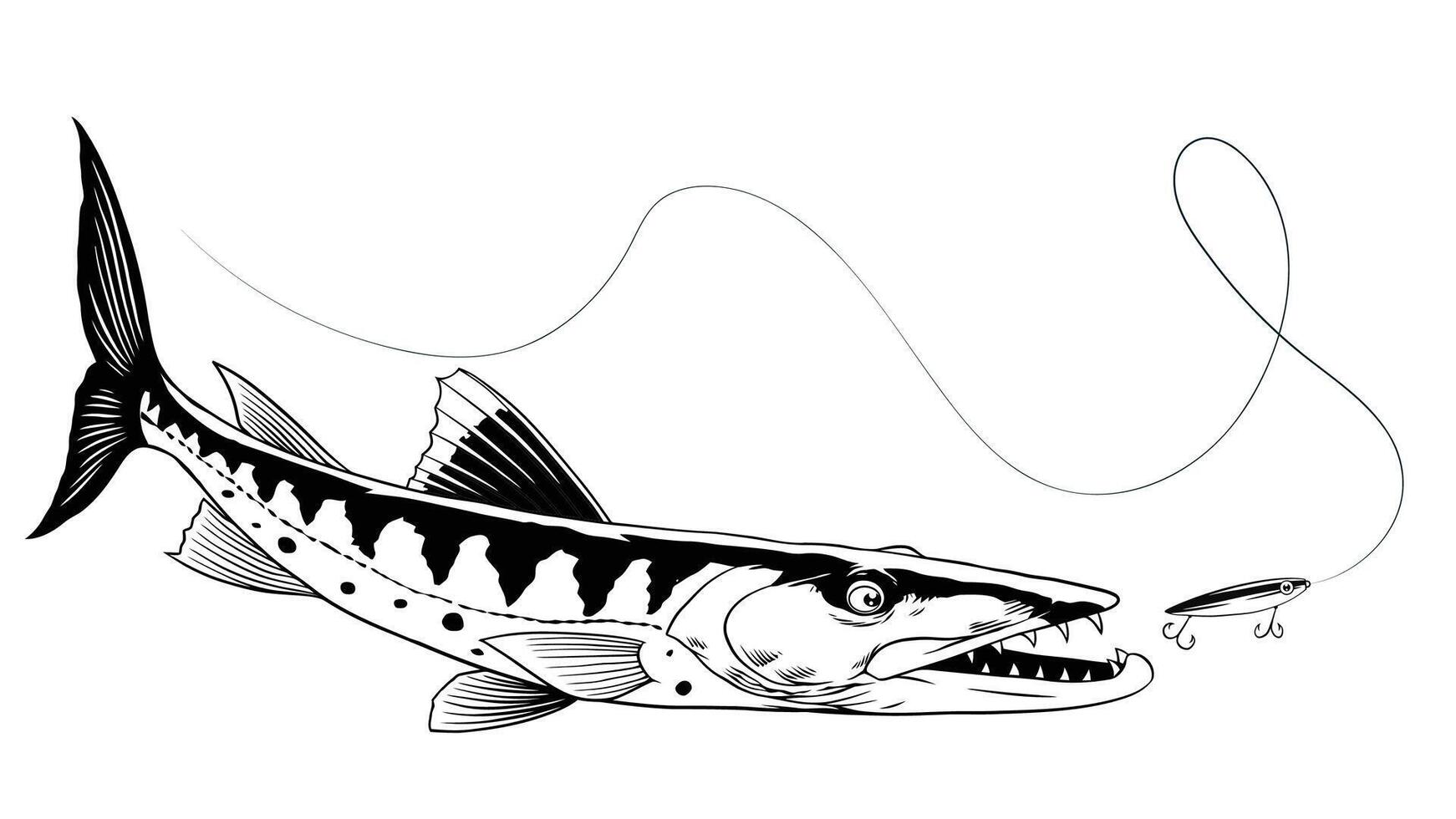 mano dibujado de barracuda pescado atrapando el pescar señuelo vector