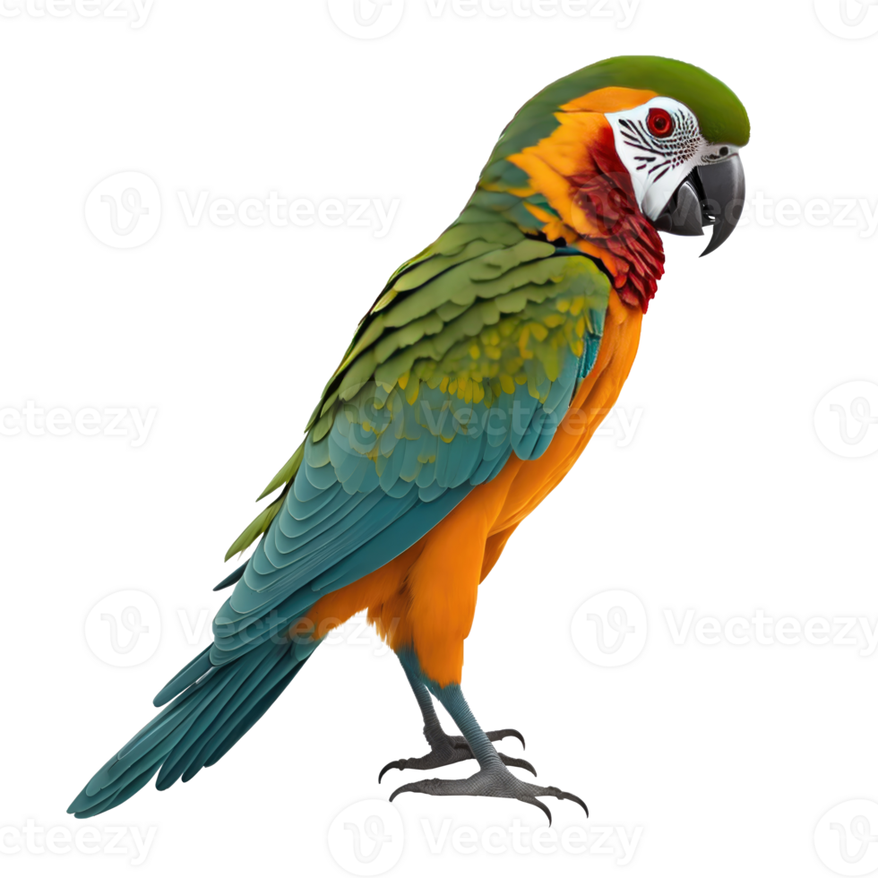 AI generated Parrot bird isolated on transparent background png