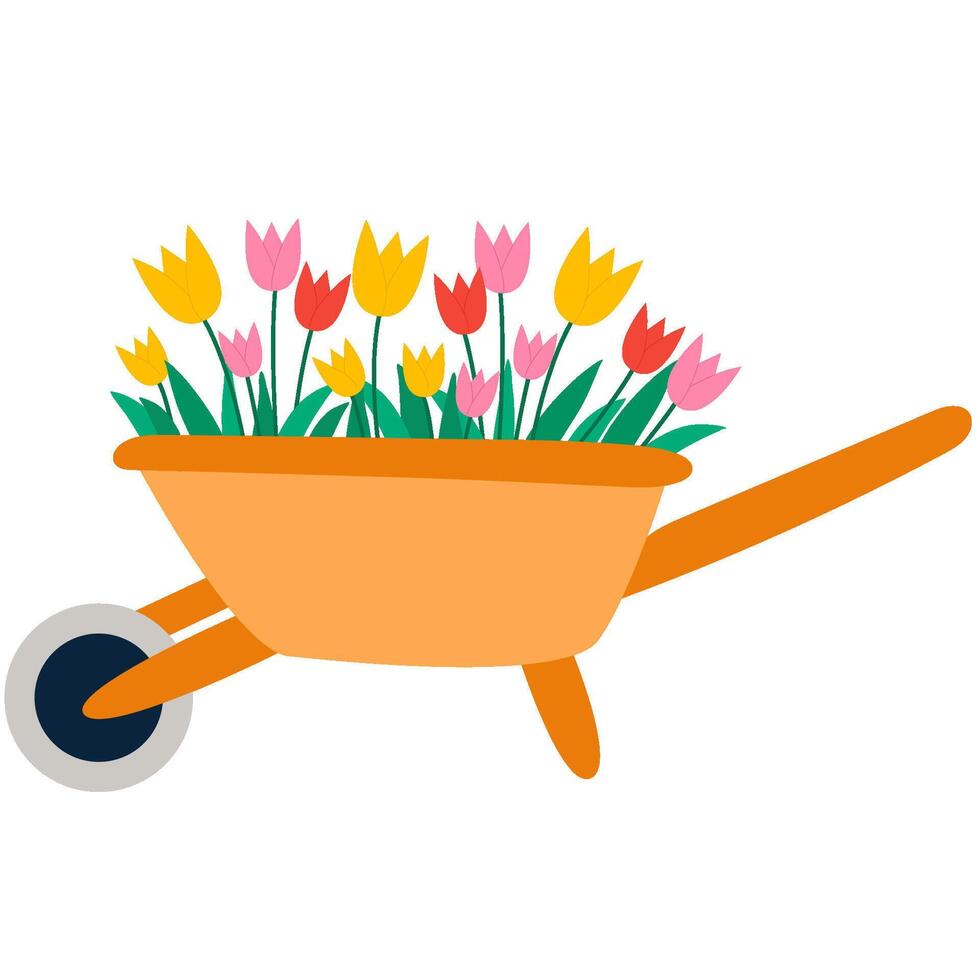 Garden wheelbarrow with tulip. Spring hand draw vector illustration