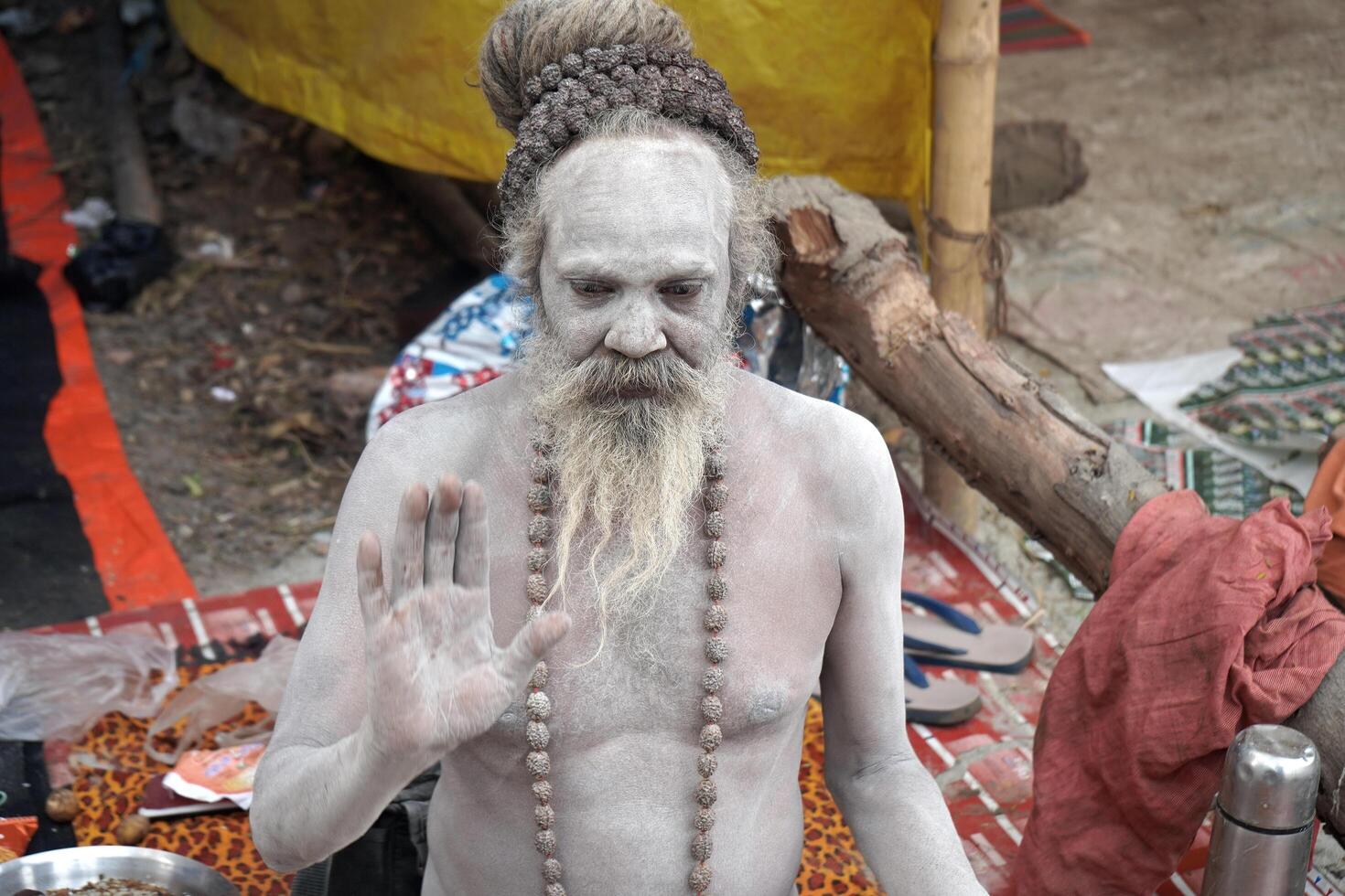 15th January 2023, Landscape of Sadhu baba give blessing at Kolkata Ganga Sagar Mela Transit Camp photo