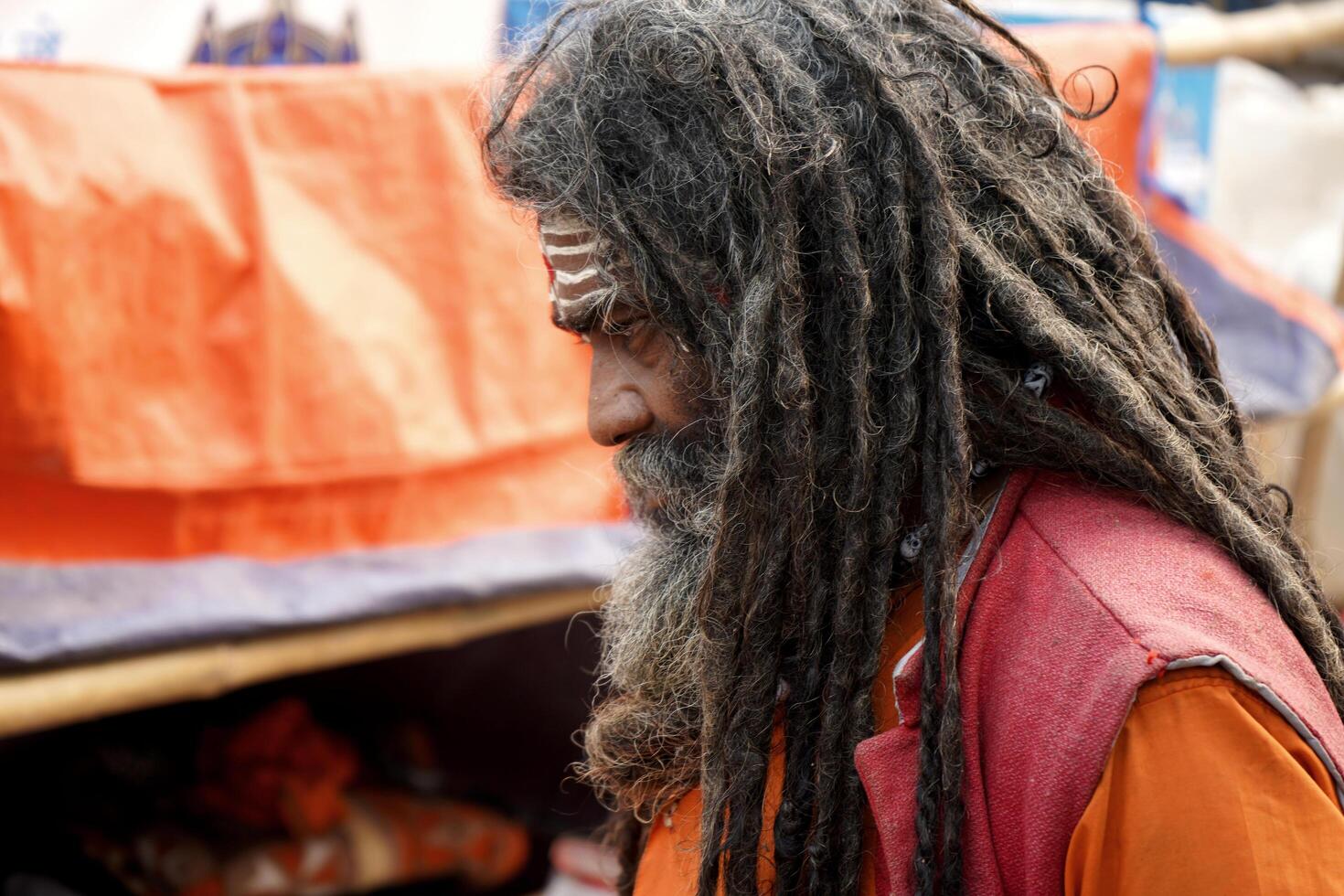 15th January 2023, Kolkata, West Bengal, India. Jatadhari Sadhu at Kolkata Ganga Sagar Transit Camp photo