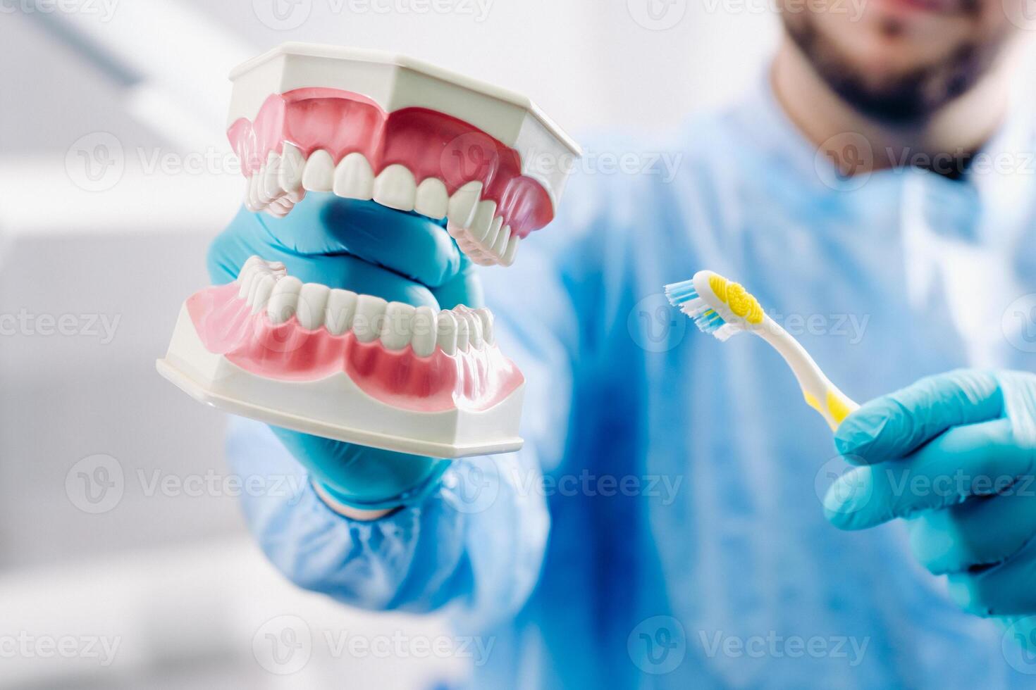 A model of a human jaw with teeth and a toothbrush in the dentist's hand photo