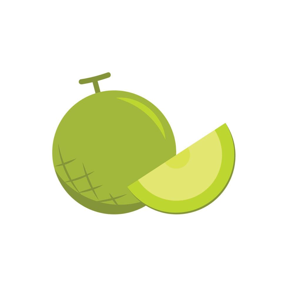 Melon vector. melon on white background. wallpaper. logo design. vector