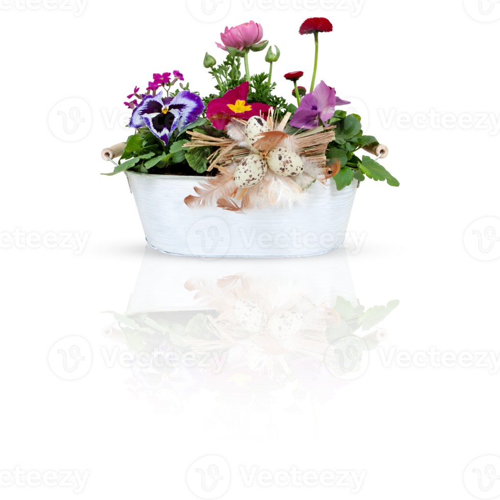 Fresh flowers in a bucket cut out isolated transparent background png