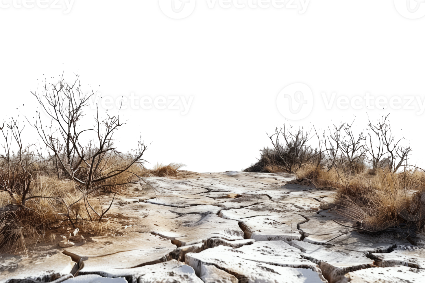 AI generated Dry and cracked soil in barren desert png