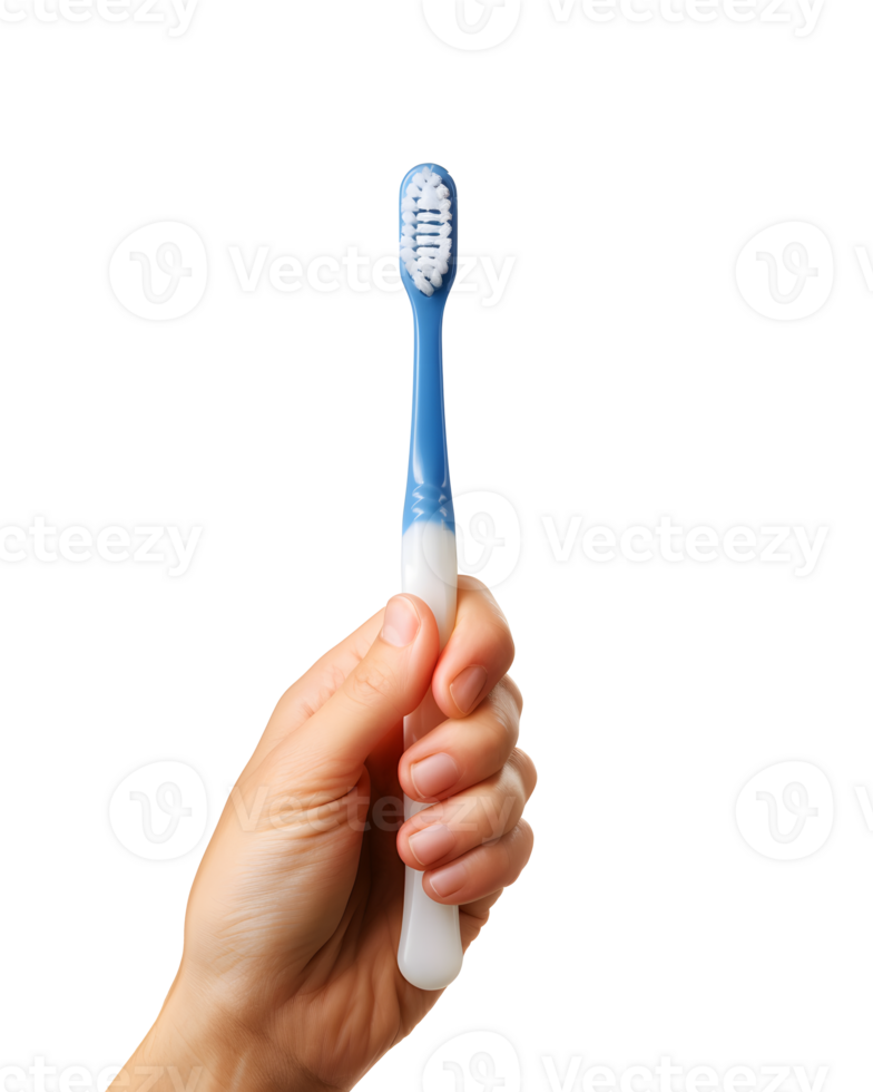 AI generated Hand Holding Toothbrush on Transparent Background png