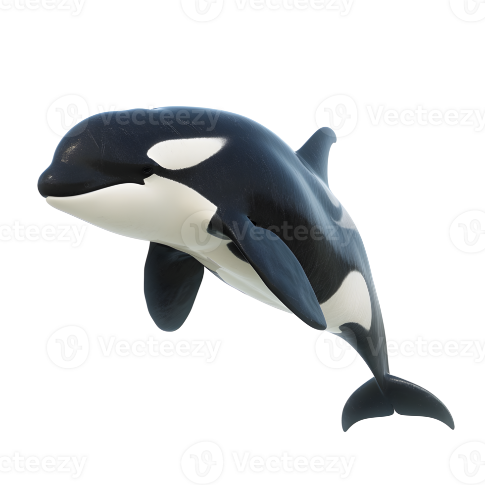 AI generated Orca Isolated on Transparent Background png