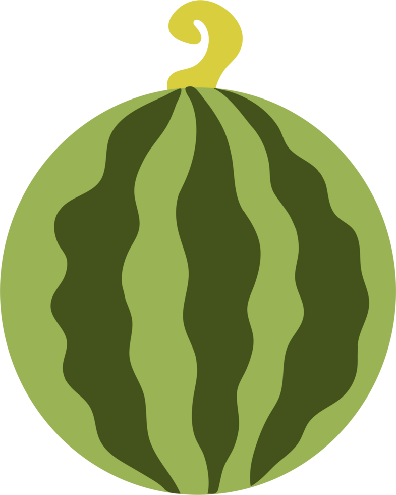 cute and fresh watermelon png