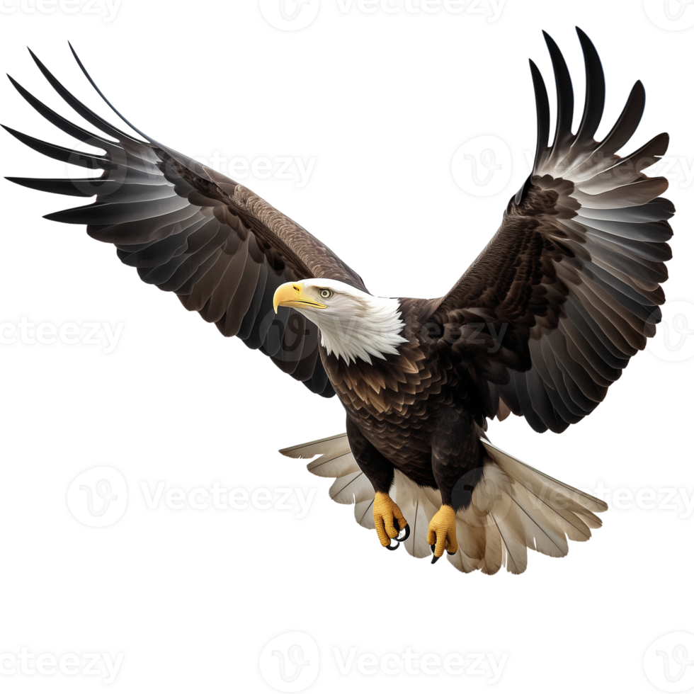 AI generated Collection of Flying Bald Eagles Isolated png