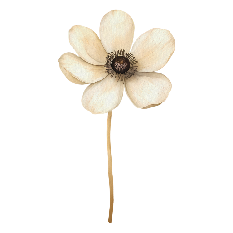 AI generated flowers  clipart,generative ai. png