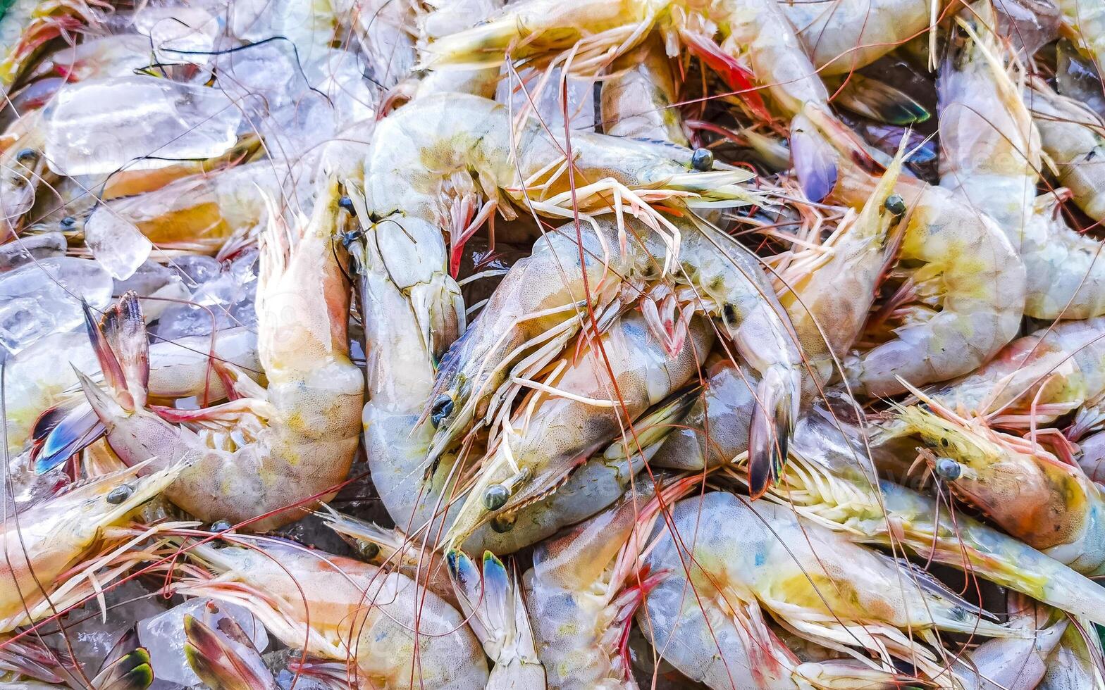 Shrimps on the market texture pattern in Puerto Escondido Mexico. photo