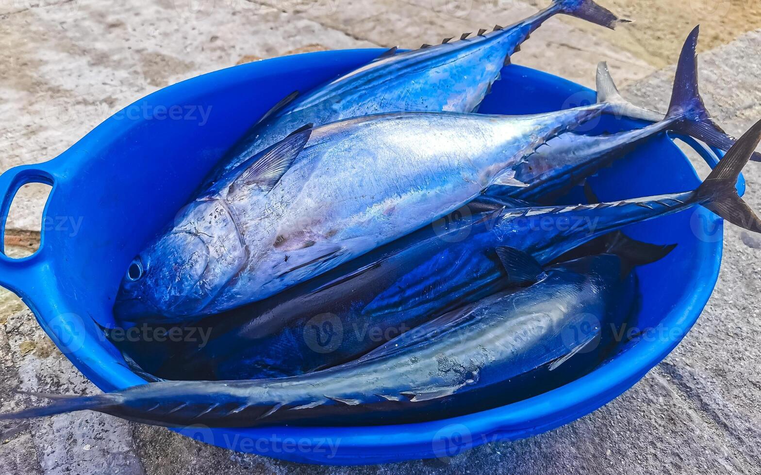 recién atrapado pescado en el mercado textura modelo en México. foto