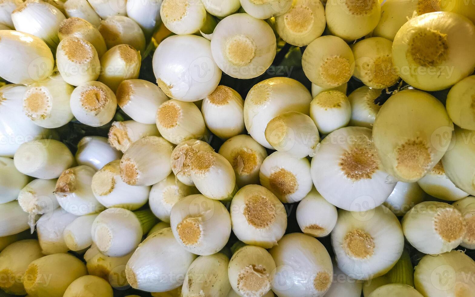 Spring onions Onion Vegetables on the market in Mexico. photo