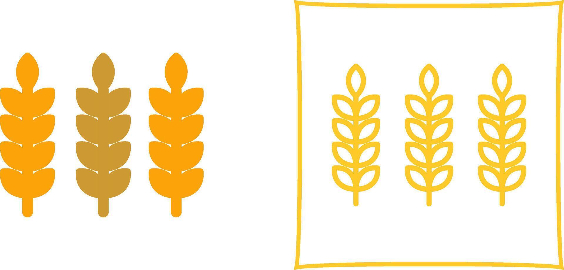 Wheat Vector Icon