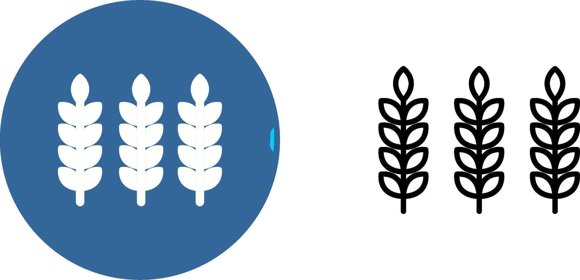 Wheat Vector Icon
