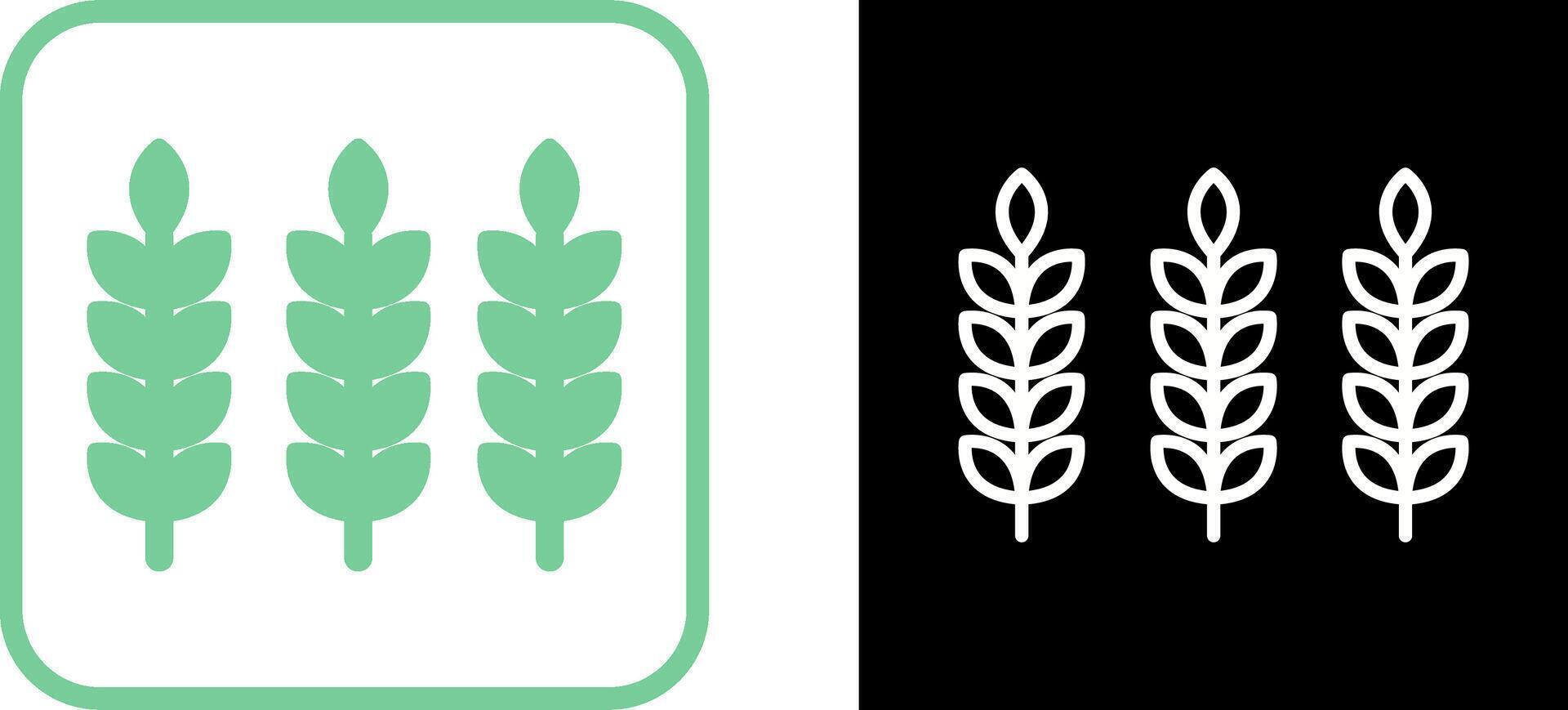 Wheat Vector Icon