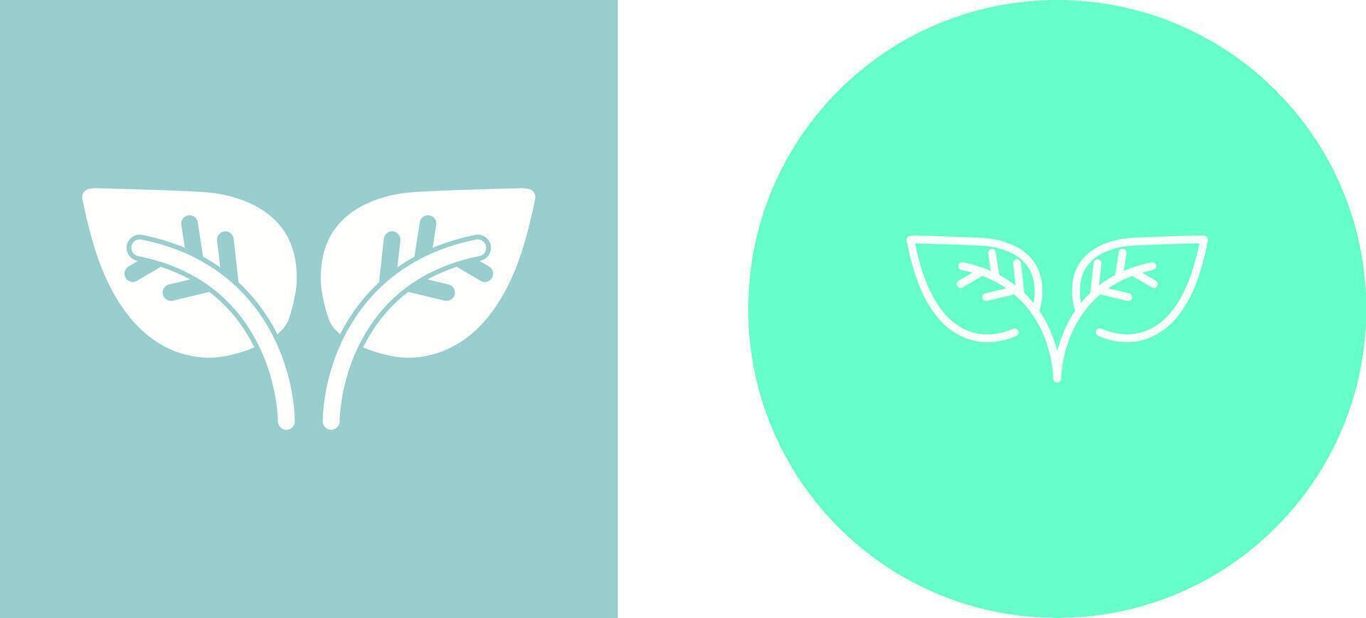 Leaf Vector Icon