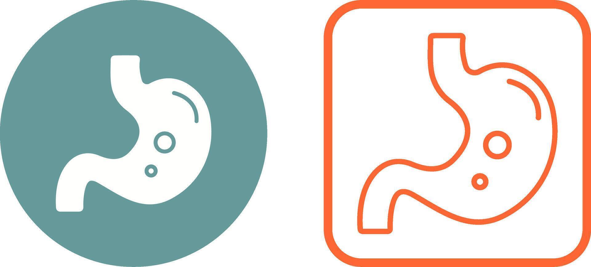 Stomach Vector Icon