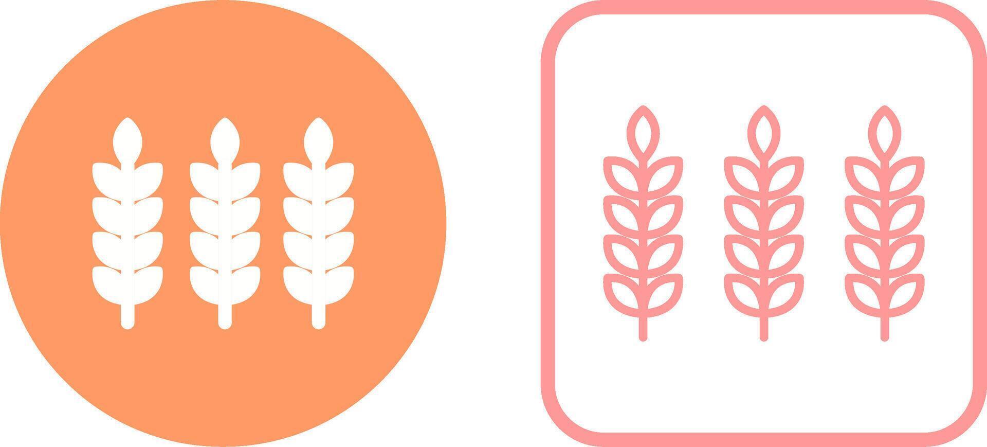 Wheat Vector Icon