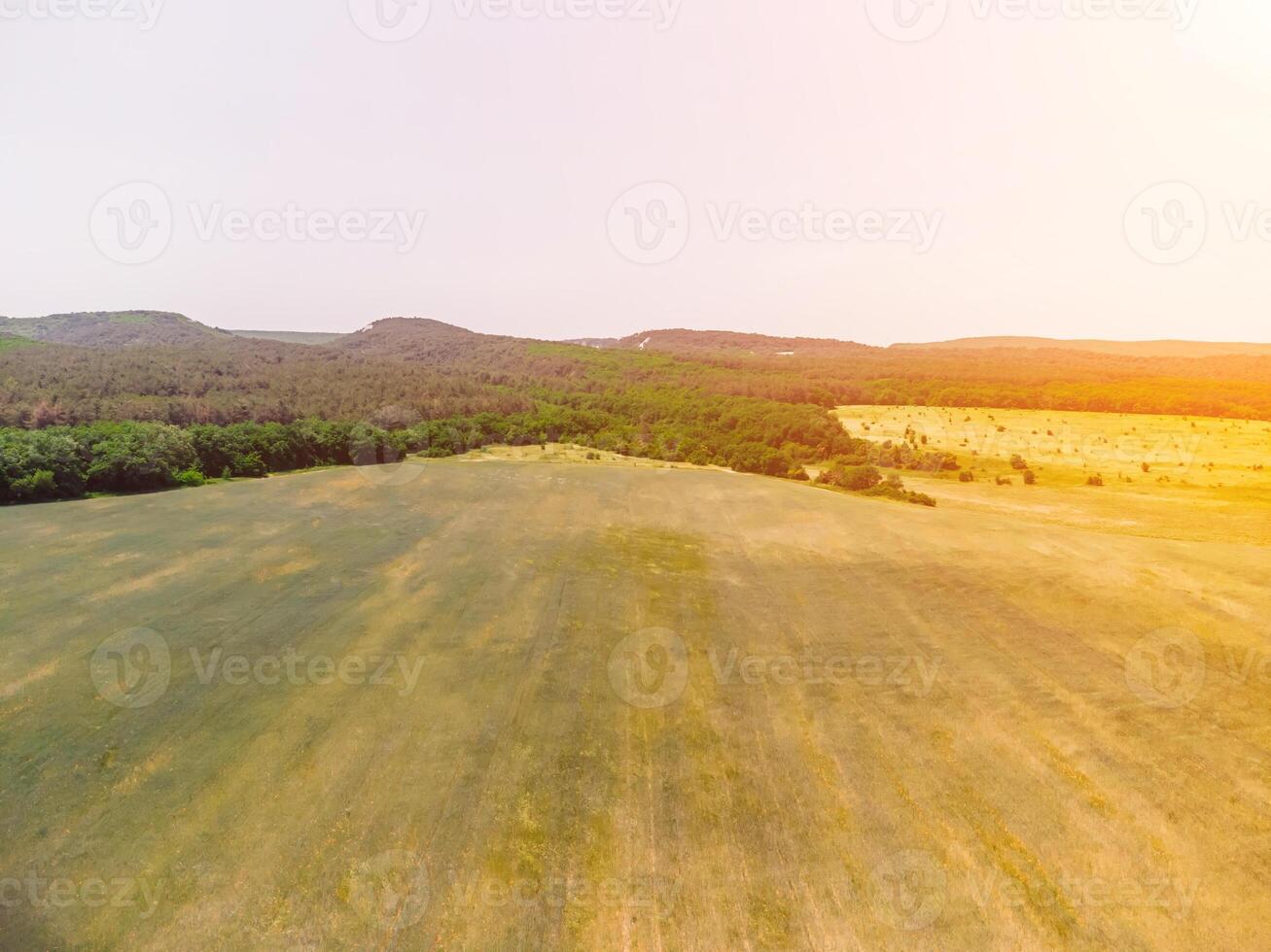 Aerial view on green wheat field in countryside. Field of wheat blowing in the wind like green sea. Young and green Spikelets. Ears of barley crop in nature. Agronomy, industry and food production. photo