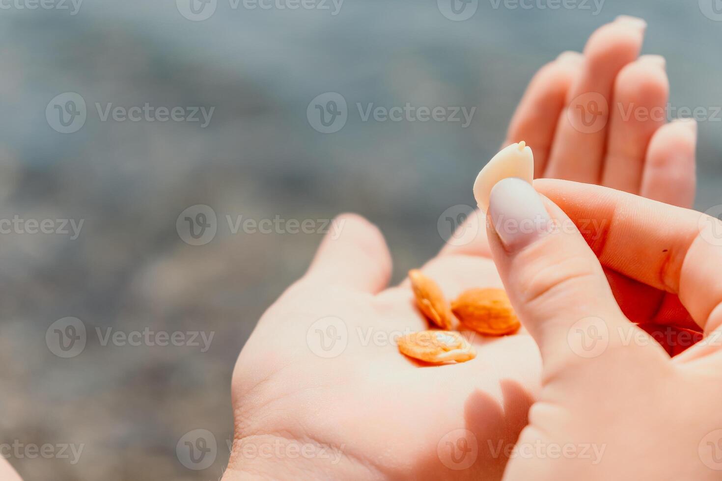 Woman eating milky almond nuts. A young caucasian woman chopping fresh green almond after morning fitness yoga near sea. Only hands are visibly. Healthy vegan food. Slow motion. Close up photo