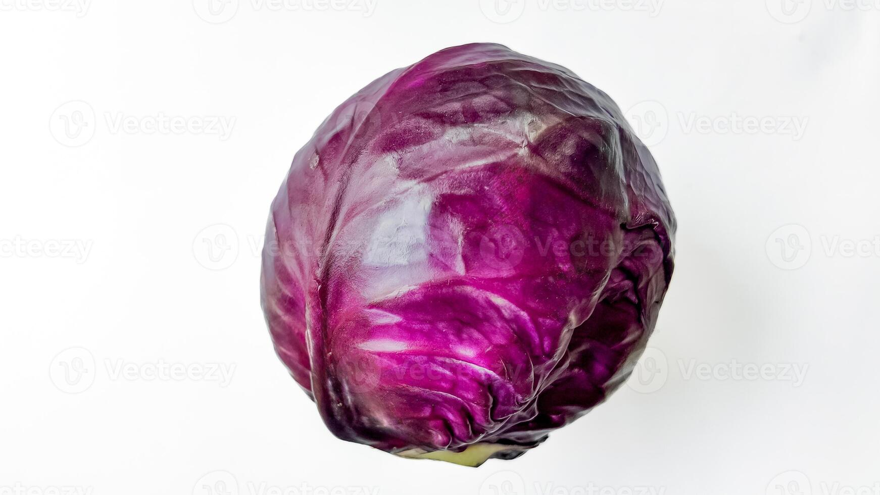 Fresh Red Cabbage Isolated with Copy Space photo