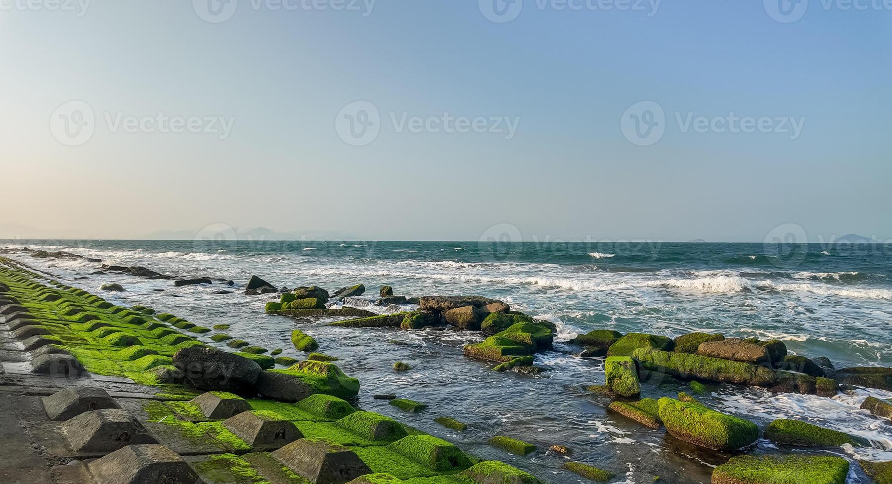 Mossy Tetrapods in Tranquil Coastal Seascape photo