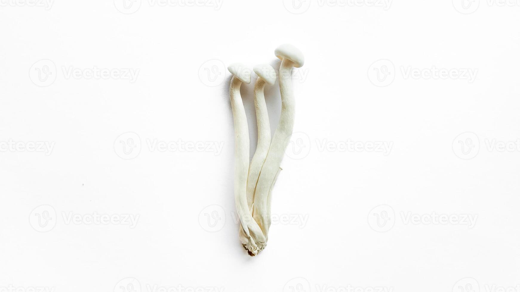 Fresh Enoki Mushrooms Top View, Food Concept photo