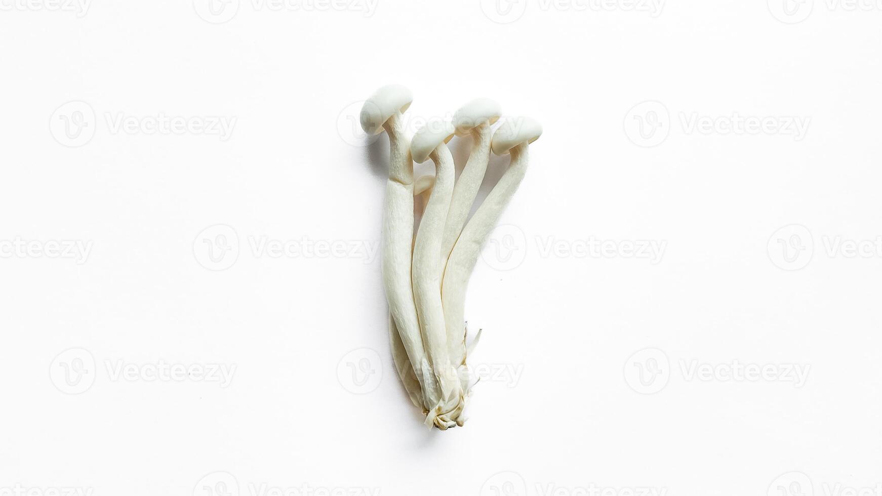 Fresh Enoki Mushrooms for Healthy Cooking photo